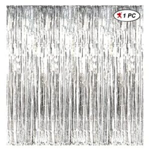 Silver Foil Curtain